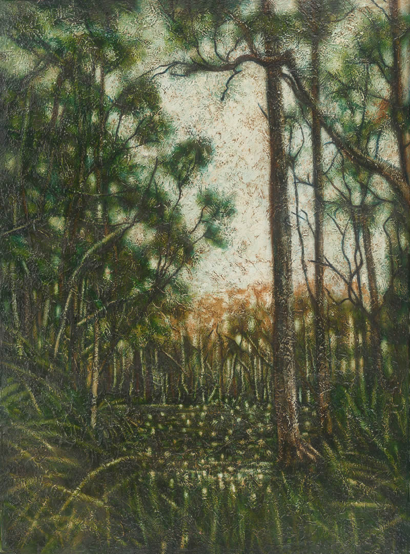 Burpai landscape Burpai landscape